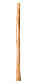 Medium Size Natural Finish Didgeridoo (TW1471)